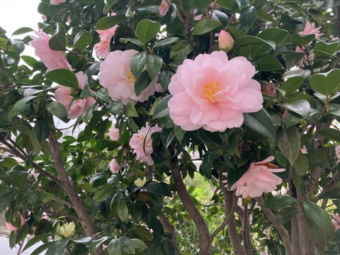 018