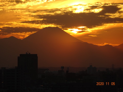DSC05351