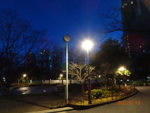 DSC06875