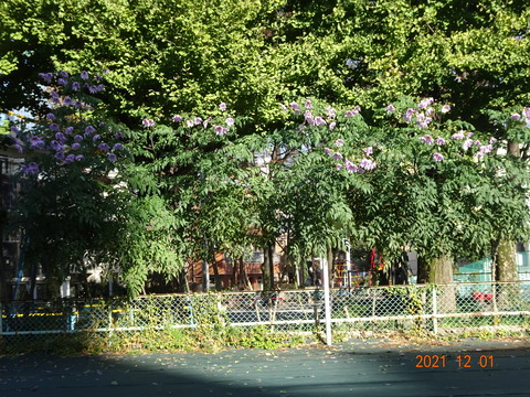 DSC04638