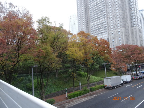 DSC03661