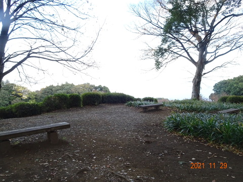 DSC04587
