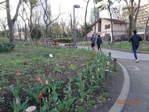 DSC08037