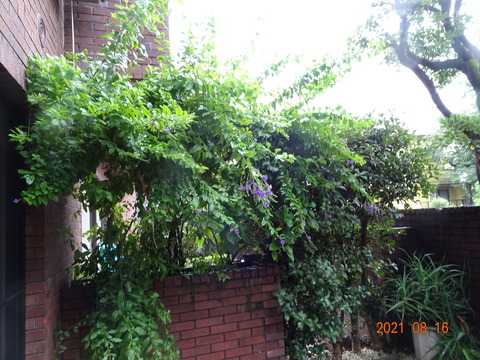 DSC01441