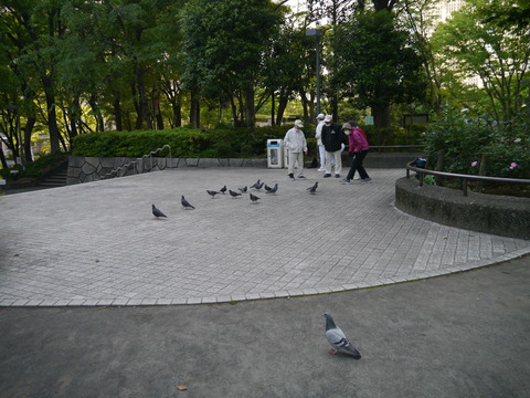 P1080101