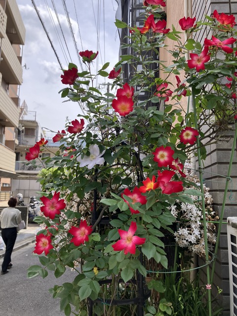 018