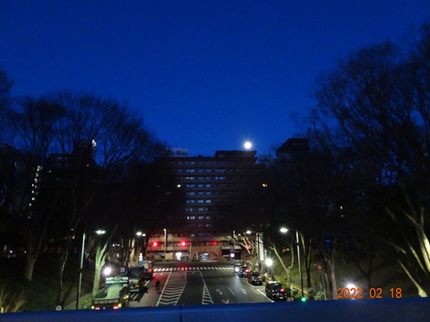 DSC06879