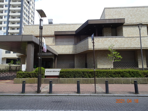 DSC00739