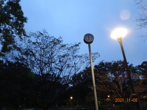 DSC03657
