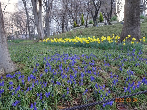 DSC07806