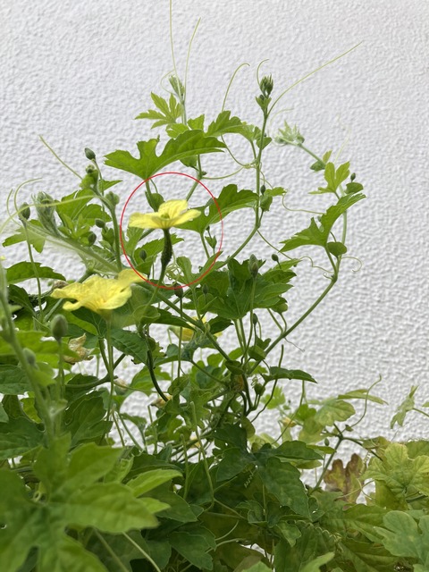 009