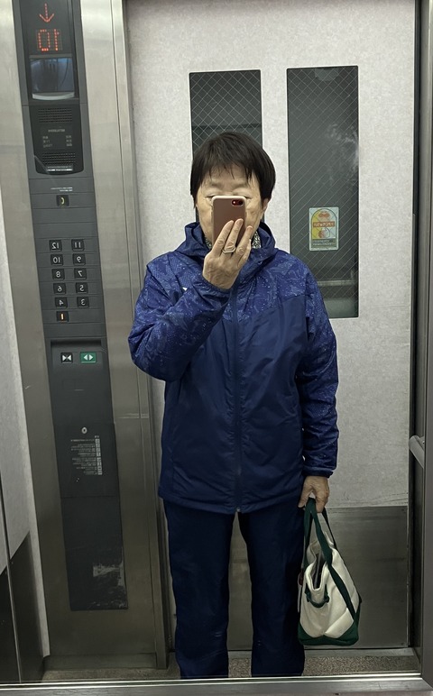 朝