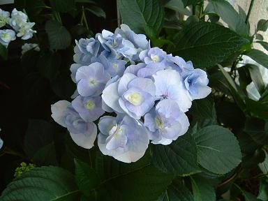 267_picture