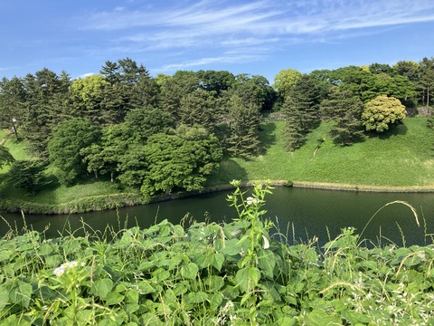 060