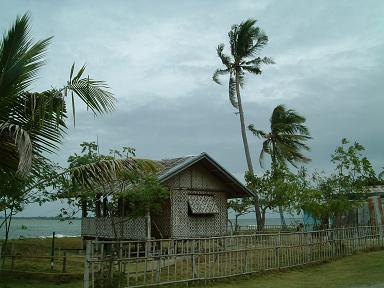 405_picture
