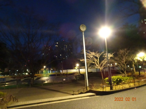 DSC06353