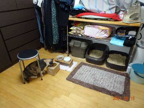 DSC01461
