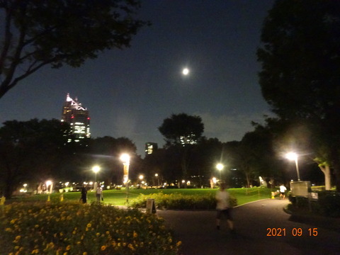 DSC02268