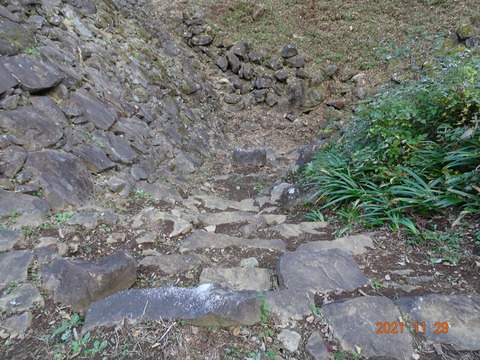 DSC04581