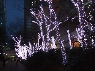 581_picture