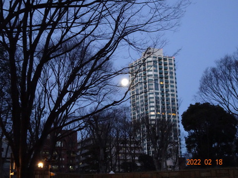 DSC06889