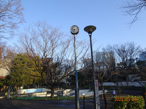 DSC07808