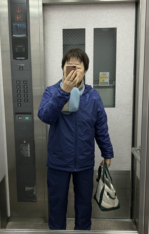 朝