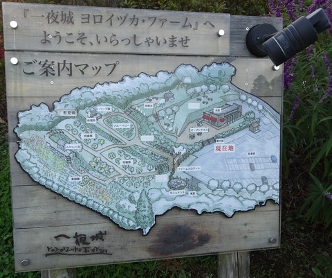 DSC04600