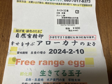 卵