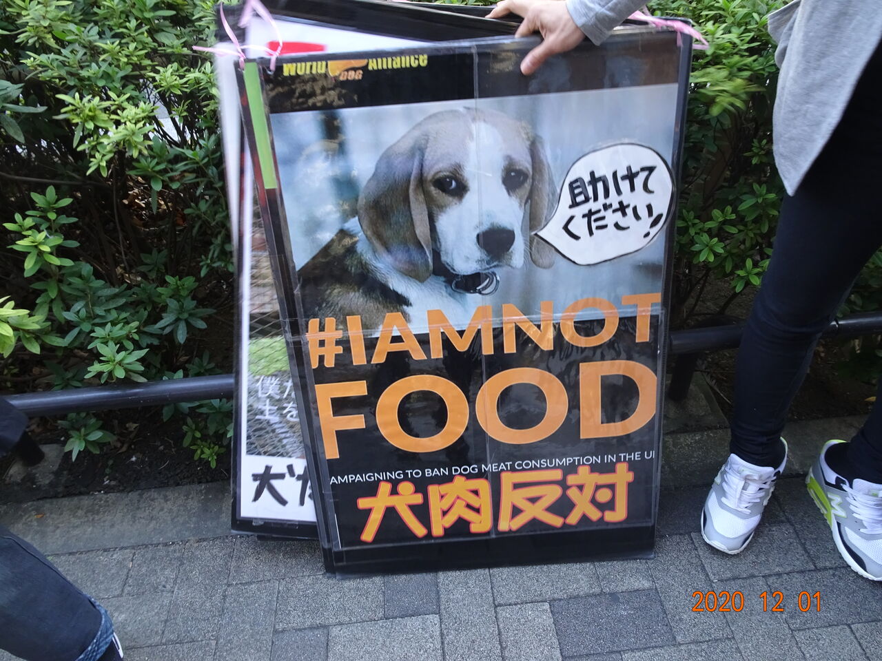 おてんば歳 日々録 韓国の犬肉食にロッテも関与していると おてんば歳 日々録 韓国の犬肉食にロッテも関与していると