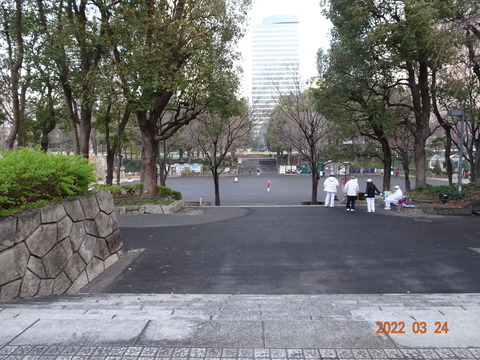 DSC07804