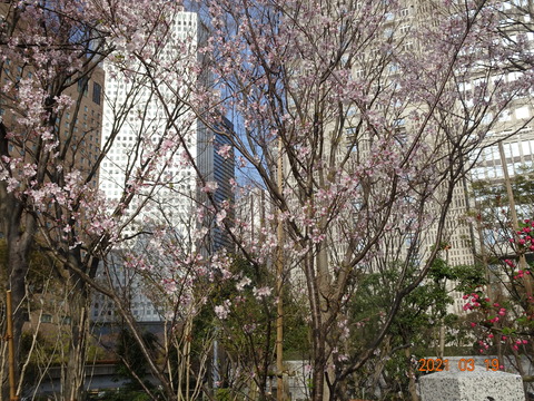 DSC09862