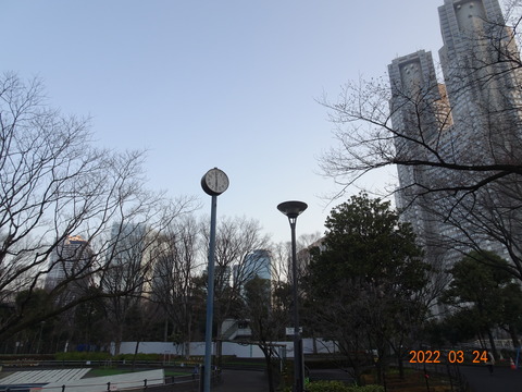 DSC07803