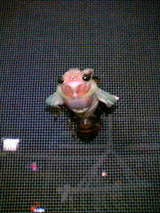 �⤦�������ߤˡ�