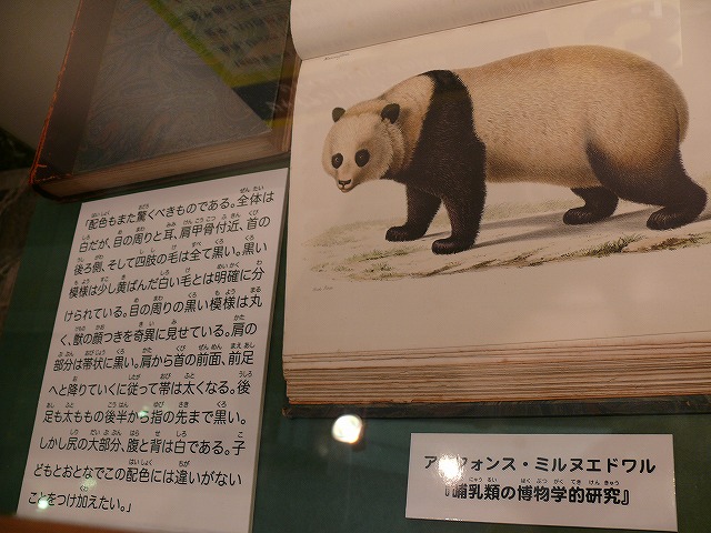 上野のパンダ全員集合 0906 Mamataroおでかけ日記