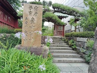 IMG_20240630_115526_20240630134229