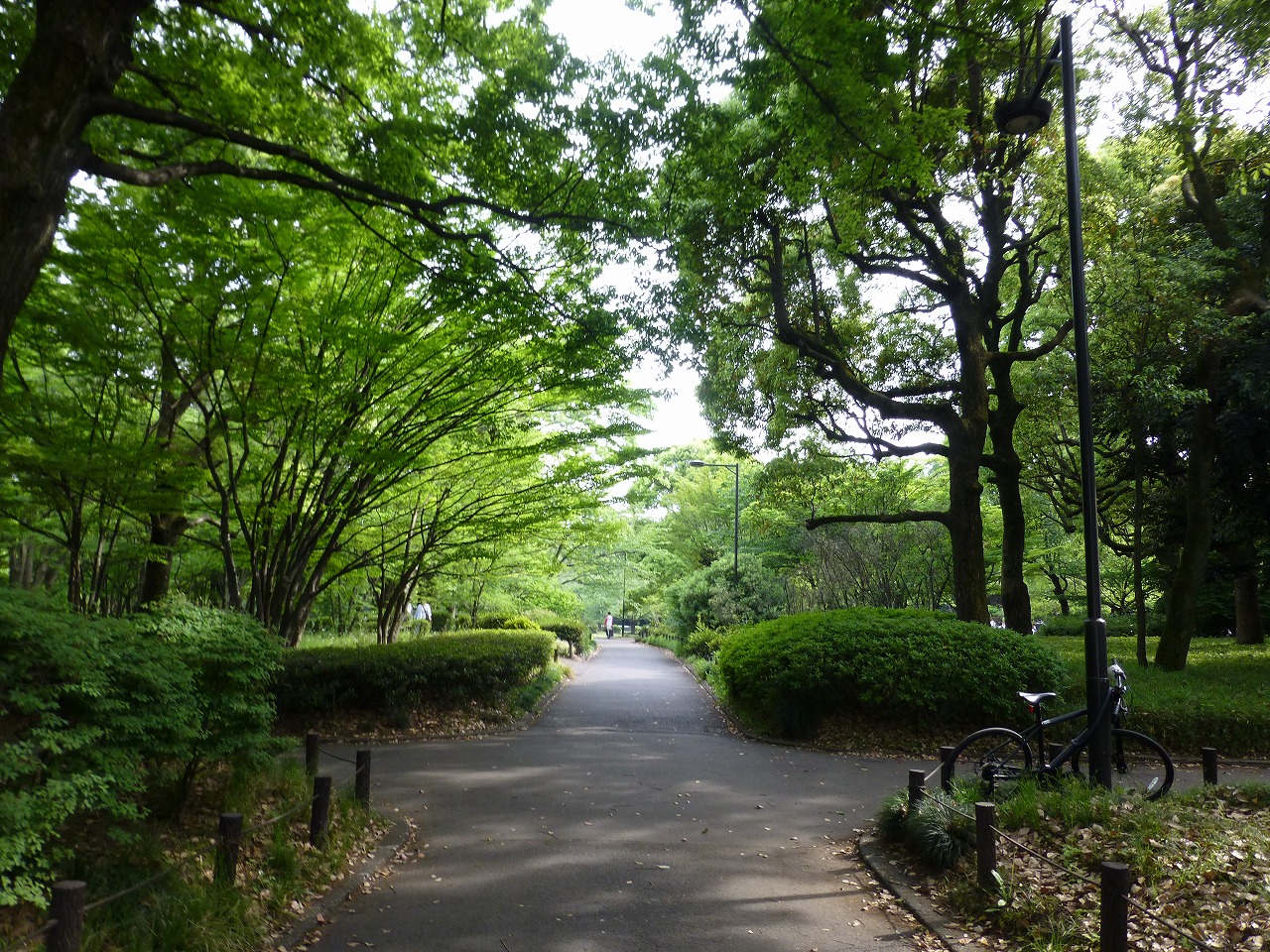 北の丸公園から内堀通りを桜田門 皇居外苑まで Mamataroおでかけ日記