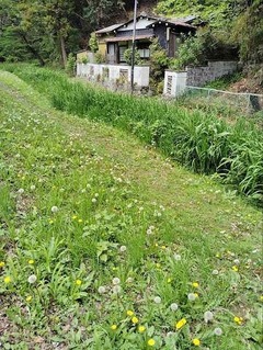 IMG_20250424_124154_20250506203109