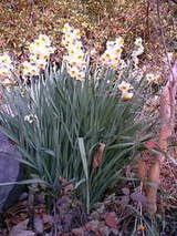 5707c4b3a885636d927a725bab09c2b3