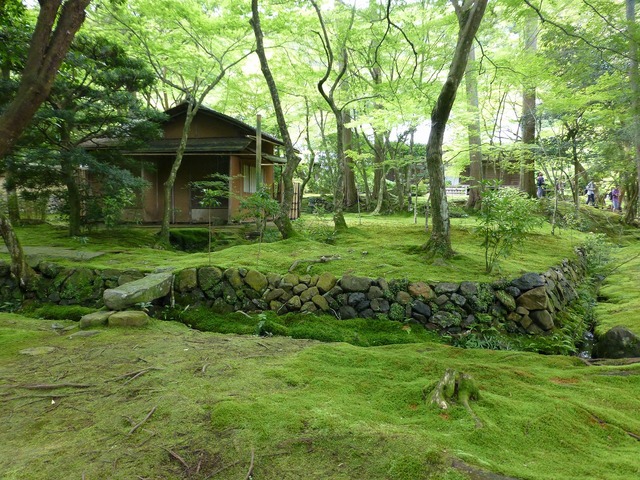 s-����Ʋ�㼼P1060413