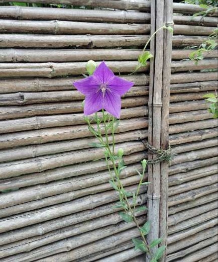 IMG_20240630_113314_20240630134412