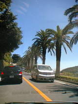 ��07-08-12_11-34