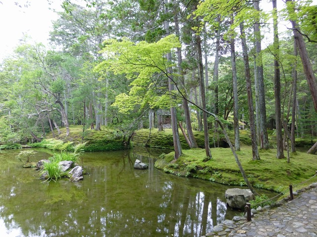 s-��ī�����硦ͼ��������ü�Ʋ��P1060547