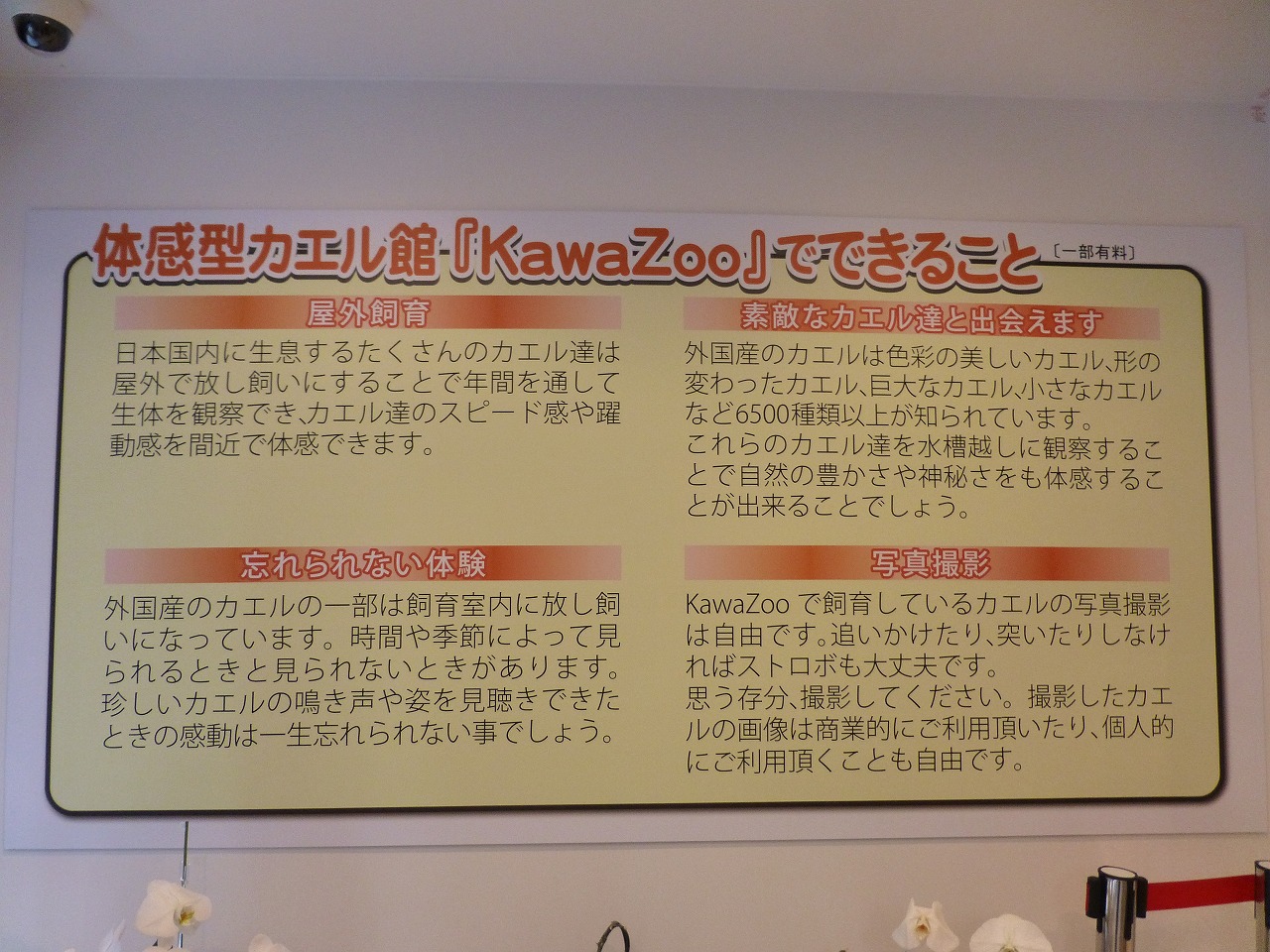 見て 聞いて 驚く 体験型カエル館kawazoo Mamataroおでかけ日記 見て 聞いて 驚く 体験型カエル館kawazoo Mamataroおでかけ日記