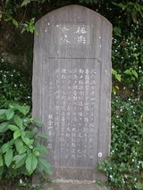 s-���ҥ��ѡ��� 952