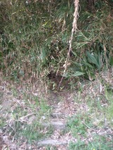 s-13��12������������