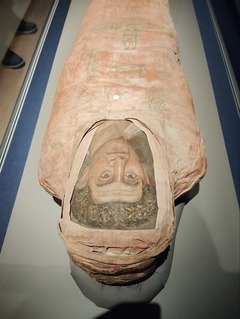 IMG_20250403_133516_20250403215523