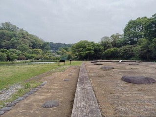 IMG_20250424_122458_20250506202909