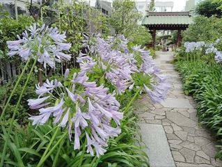 IMG_20240630_115402_20240630134233