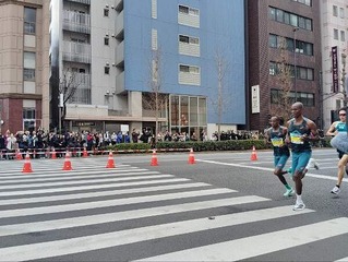 IMG_20250302_100216_20250302155644